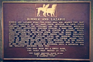 bummer-and-lazarus